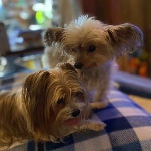 Meet your Posher, Lori